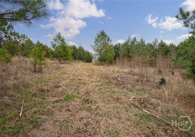 Homes for sale in Bishop, GA | Tract 1 A High Shoals Rd, Bishop, GA 30621 | MLS# CL355628