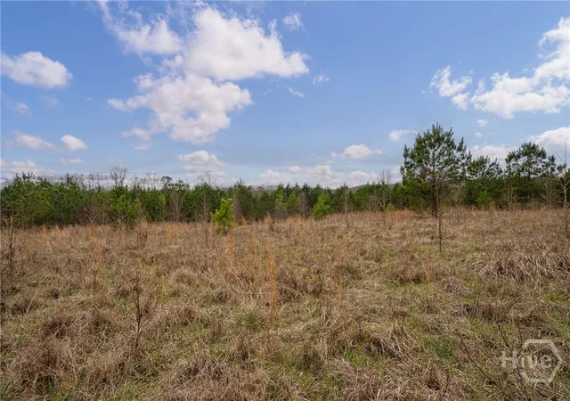 Homes for sale in Bishop, GA | Tract 1 A High Shoals Rd, Bishop, GA 30621 | MLS# CL355628