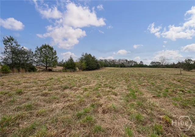 Homes for sale in Bishop, GA | Tract 1-A High Shoals Rd, Bishop, GA 30621 | MLS# CL355628
