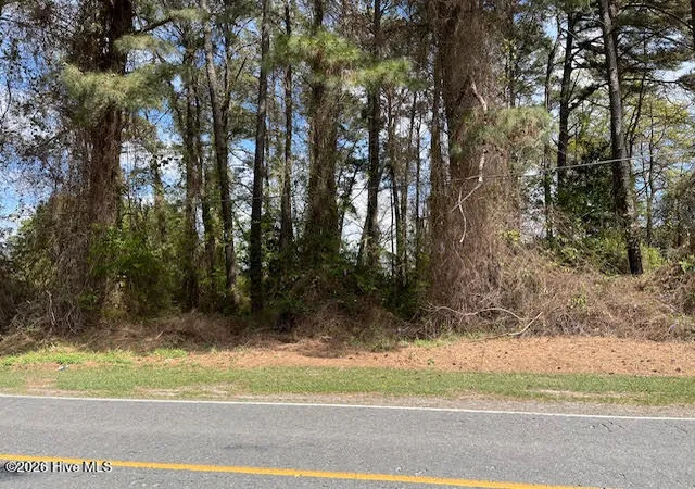 Homes for sale in Warsaw, NC | 00 Penny Branch Rd, Warsaw, NC 28398 | MLS# 100562515