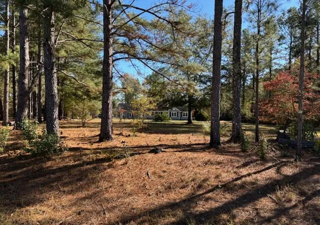 Homes for sale in Blythe, GA | 131 Marks Walden Rd Rd, Blythe, GA 30805 | MLS# 98251005