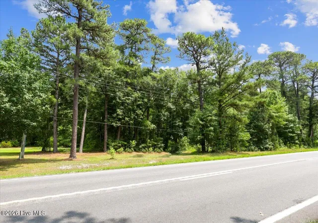 Photo 3 of Land for sale at 5199 Highway 258 S, Deep Run, NC 28525 | MLS# 100589948 | Listing updated on 2026-09-21