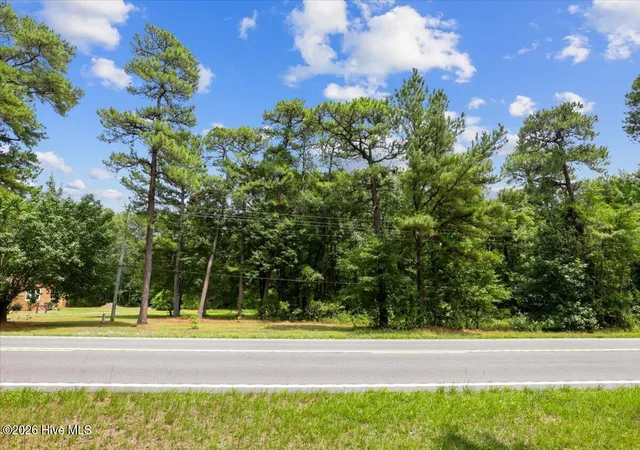 Photo 3 of Land for sale at 5199 Highway 258 S, Deep Run, NC 28525 | MLS# 100589948 | Listing updated on 2026-09-21