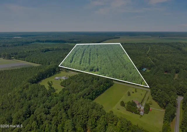 Photo 2 of Land for sale at 0 Indian Hl Rd, Willard, NC 28478 | MLS# 100589262 | Listing updated on 2026-09-14