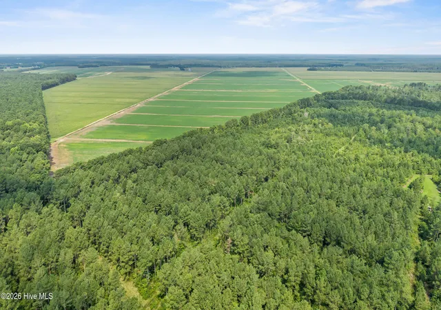 Photo 3 of Land for sale at 0 Indian Hl Rd, Willard, NC 28478 | MLS# 100589262 | Listing updated on 2026-09-14