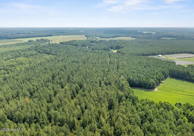 Photo 3 of Land for sale at 0 Indian Hl Rd, Willard, NC 28478 | MLS# 100589262 | Listing updated on 2026-09-14