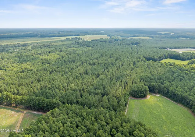 Photo 4 of Land for sale at 0 Indian Hl Rd, Willard, NC 28478 | MLS# 100589262 | Listing updated on 2026-09-14