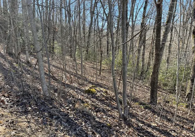 Homes for sale in Hayesville, NC | Lot 34j Ash Branch Rd, Hayesville, NC 28904 | MLS# 98524585