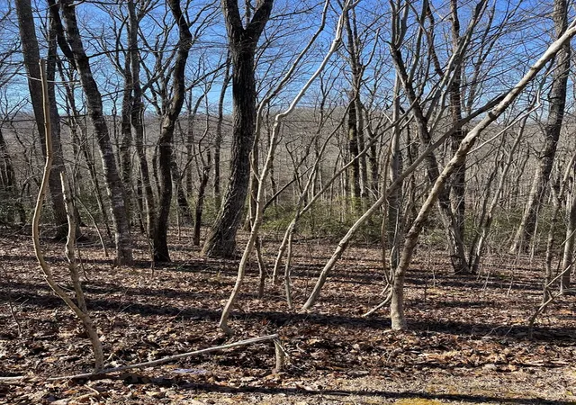 Homes for sale in Hayesville, NC | Lot 34J Ash Branch Rd, Hayesville, NC 28904 | MLS# 98524585