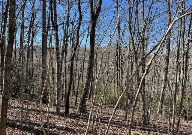Homes for sale in Hayesville, NC | Lot 34J Ash Branch Rd, Hayesville, NC 28904 | MLS# 98524585