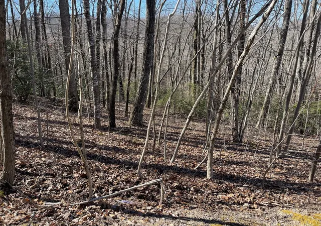 Homes for sale in Hayesville, NC | Lot 34J Ash Branch Rd, Hayesville, NC 28904 | MLS# 98524585