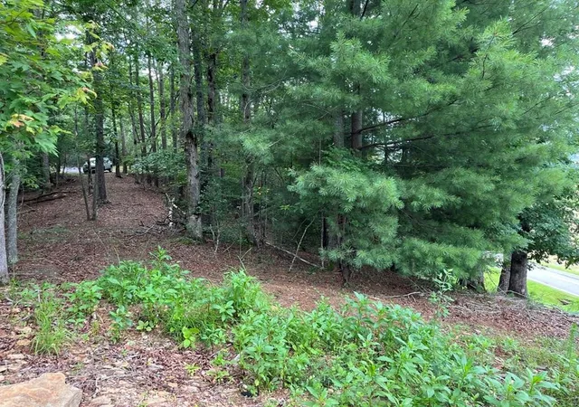 Photo 1 of Land for sale at 71 Martin Hills Dr, Murphy, NC 28906 | MLS# 98524730 | Listing updated on 2026-07-31