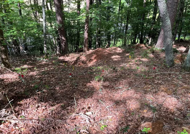 Photo 4 of Land for sale at 71 Martin Hills Dr, Murphy, NC 28906 | MLS# 98524730 | Listing updated on 2026-07-31