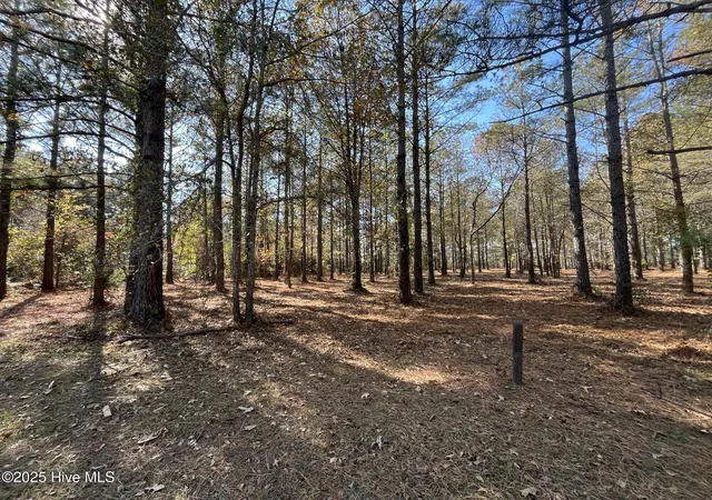 Photo 2 of Land for sale at 21 N Berne Landing Rd, New Bern, NC 28560 | MLS# 100504721 | Listing updated on 2026-07-30