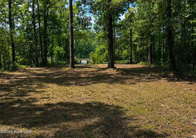 3rd image of 408 Tarpon Pointe Rd, Bath, NC 27808 | MLS# 100540420