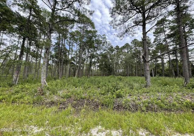 Photo 3 of Land for sale at 811 Brittany Rd, Southport, NC 28461 | MLS# 100527891 | Listing updated on 2026-08-27