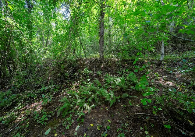 Photo 3 of Land for sale at 0 E Buffalo, Robbinsville, NC 28771 | MLS# 98543716 | Listing updated on 2026-09-02