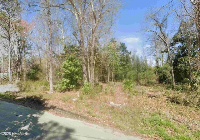 5th image of 2 Dees Ave, Bayboro, NC 28515 | MLS# 100417347