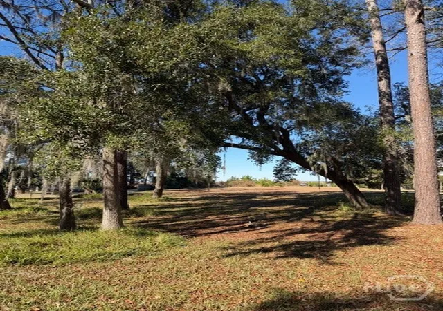 Photo 3 of Land for sale at 39 Ft Mcallister Rd, Richmond Hill, GA 31324 | MLS# SA347159 | Listing updated on 2026-08-19
