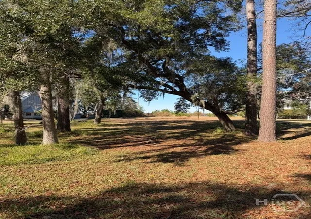 Photo 4 of Land for sale at 39 Ft Mcallister Rd, Richmond Hill, GA 31324 | MLS# SA347159 | Listing updated on 2026-08-19