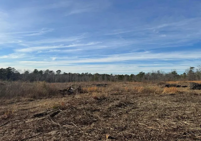 Photo 3 of Land for sale at 450 Bergen Rd, North Augusta, SC 29860 | MLS# 98254918 | Listing updated on 2026-08-19