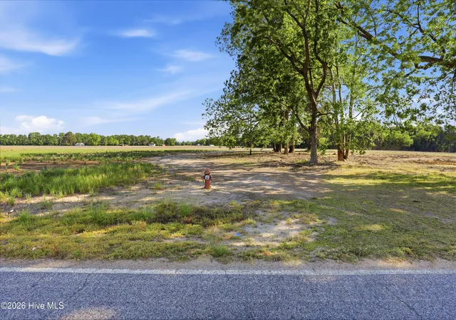 Homes for sale in Mount Olive, NC | 1150 Waller Rd, Mount Olive, NC 28365 | MLS# 100586734
