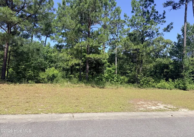 Photo 2 of Land for sale at 3808 Silver Melon Rd Ne, Leland, NC 28451 | MLS# 100541646 | Listing updated on 2026-08-19