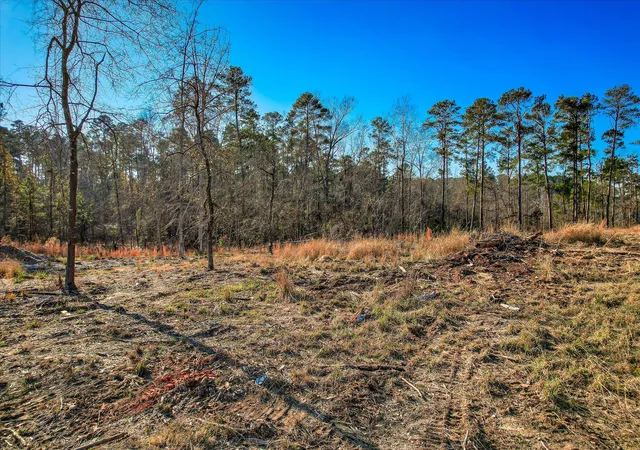 14th image of 440 Abundance Wy, Appling, GA 30802 | MLS# 98254543