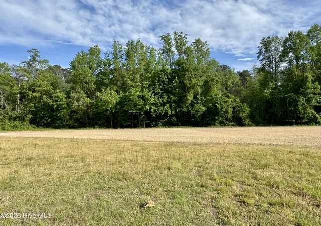 Homes for sale in Elm City, NC | 6332 Pine Meadows Rd, Elm City, NC 27822 | MLS# 100570207