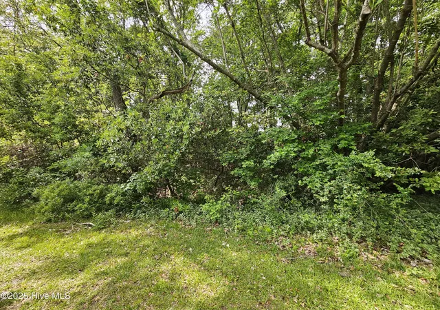 Photo 2 of Land for sale at 1203 Petite Terre Ct, New Bern, NC 28560 | MLS# 100501331 | Listing updated on 2026-08-19