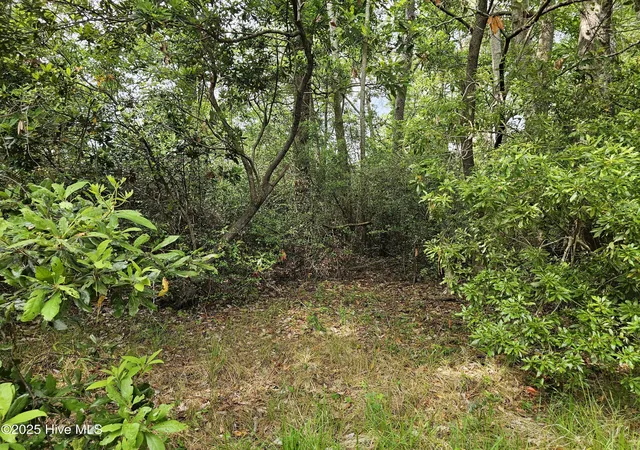 Photo 3 of Land for sale at 1203 Petite Terre Ct, New Bern, NC 28560 | MLS# 100501331 | Listing updated on 2026-08-19