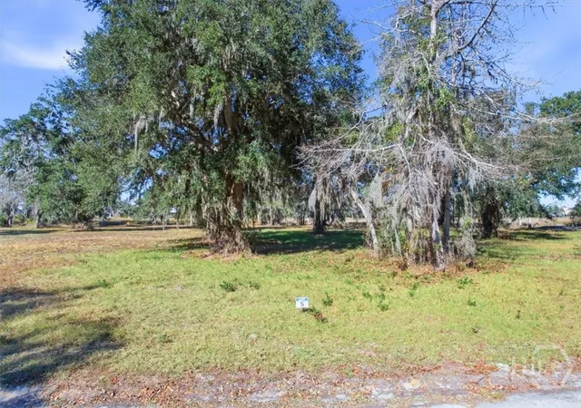 Homes for sale in Midway, GA | Lot 5 Bermuda Bluff Ln, Midway, GA 31320 | MLS# SA348422