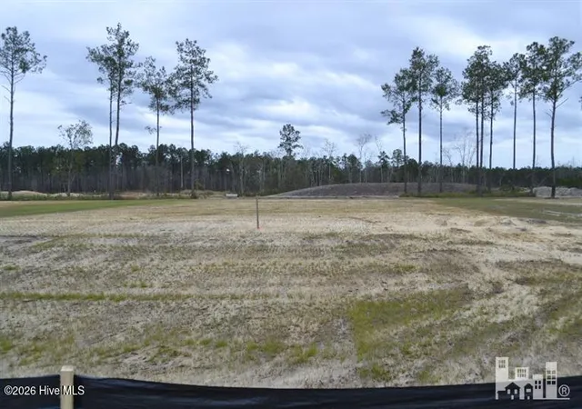 1st image of 1089 Oak Canopy Dr, Leland, NC 28451 | MLS# 100587936