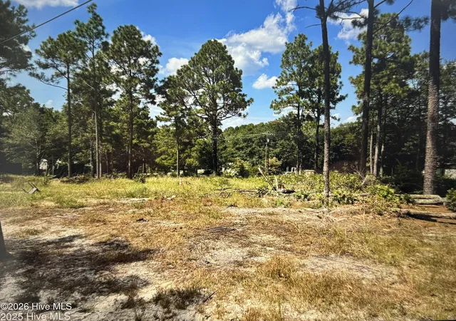 Homes for sale in Hamlet, NC | 000 Wiregrass Rd, Hamlet, NC 28345 | MLS# 100565450