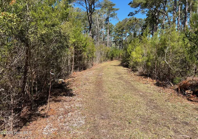 Photo 1 of Land for sale at 150 Styron Crk Rd, Sealevel, NC 28577 | MLS# 100572198 | Listing updated on 2026-08-19