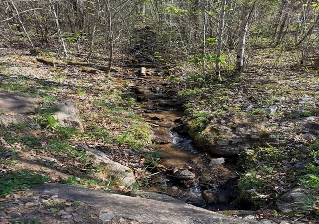 12th image of Lot 16 N High Meadows Dr, Hayesville, NC 28904 | MLS# 98544437