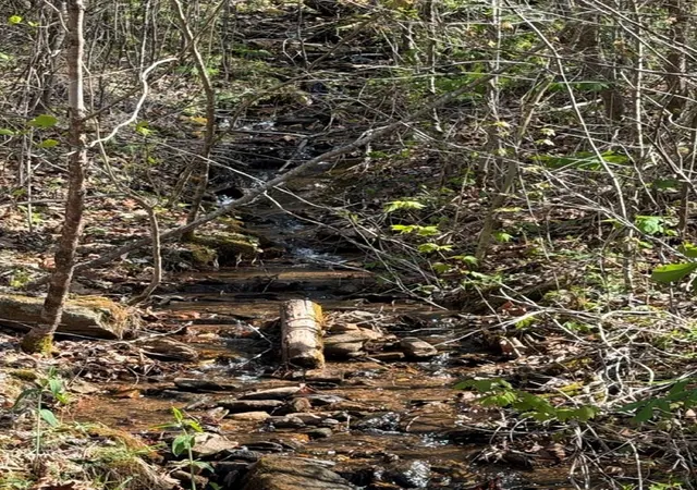 1st image of Lot 16 N High Meadows Dr, Hayesville, NC 28904 | MLS# 98544437