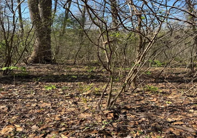 2nd image of Lot 16 N High Meadows Dr, Hayesville, NC 28904 | MLS# 98544437