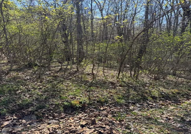3rd image of Lot 16-N High Meadows Dr, Hayesville, NC 28904 | MLS# 98544437