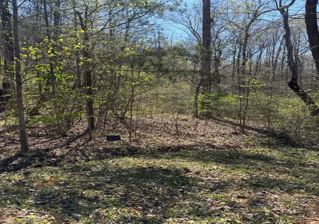 4th image of Lot 16-N High Meadows Dr, Hayesville, NC 28904 | MLS# 98544437