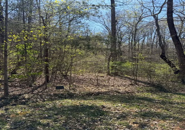 5th image of Lot 16-N High Meadows Dr, Hayesville, NC 28904 | MLS# 98544437