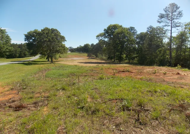 3rd image of 00 C E Norman Rd, Lincolnton, GA 30817 | MLS# 98224478
