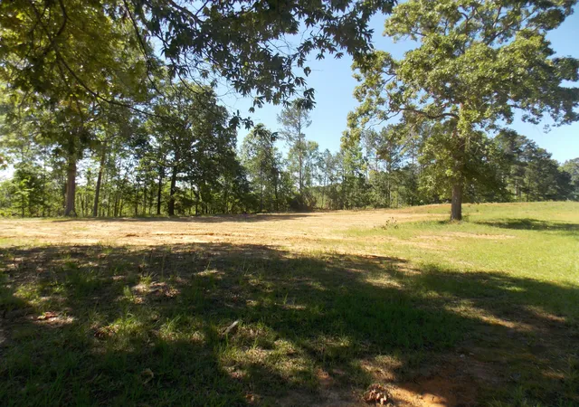 4th image of 00 C E Norman Rd, Lincolnton, GA 30817 | MLS# 98224478