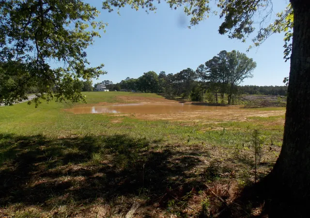 5th image of 00 C E Norman Rd, Lincolnton, GA 30817 | MLS# 98224478