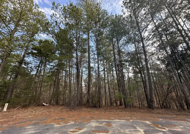 2nd image of B63 L27 Half Moon Lane, Mc Cormick, SC 29835 | MLS# 98224102