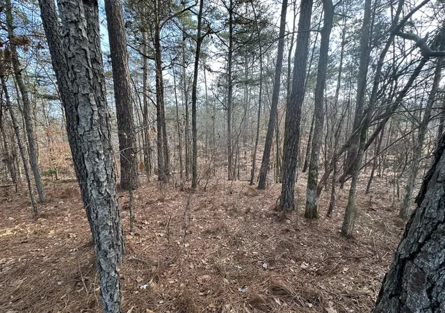 5th image of B63 L27 Half Moon Lane, Mc Cormick, SC 29835 | MLS# 98224102