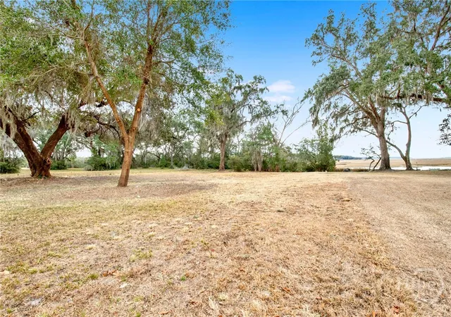 Photo 3 of Land for sale at 0 Ne Coopers Point Dr #Lot 39, Townsend, GA 31331 | MLS# SA347354 | Listing updated on 2026-09-30