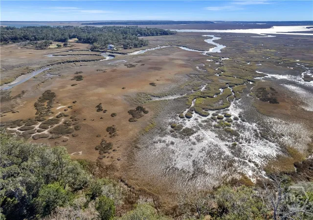 Photo 3 of Land for sale at 0 NE Coopers Point Dr #Lot 39, Townsend, GA 31331 | MLS# SA347354 | Listing updated on 2026-09-30