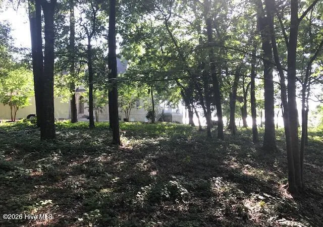 Photo 4 of Land for sale at 3247 Mullet Crk Pl SE, Bolivia, NC 28422 | MLS# 100586851 | Listing updated on 2026-08-29