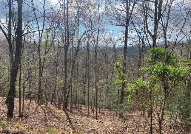 Photo 2 of Land for sale at Lot 62 Jitterbug Ln, Murphy, NC 28906 | MLS# 98543754 | Listing updated on 2026-09-10